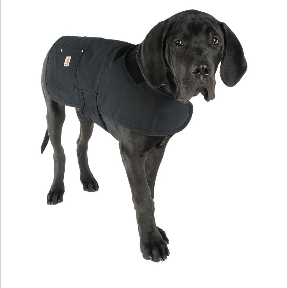 Carhartt Black Dog Coat